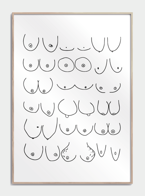 Boobies-plakat nr. 1, S (29,7x42, A3)