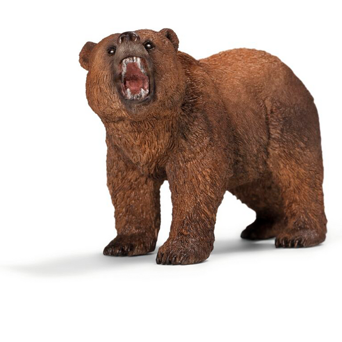 Grizzlybjørn